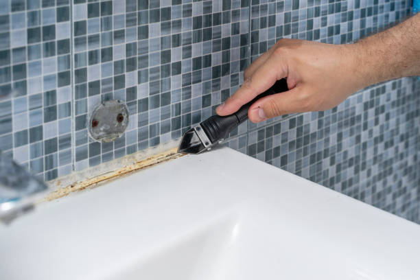 Best Residential Mold Remediation in Springfield, MN